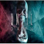 Until Dawn Remake PC کامپیوتر